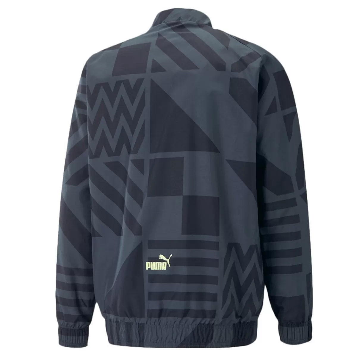 Survetements Puma mcfc prem jkt bleu