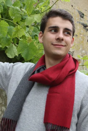 Écharpe en cachemire homme réversible